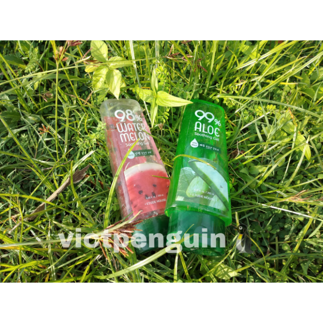 Etude House 99% Aloe Soothing Gel - Review SOCO by Sociolla